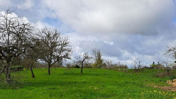 photo senillé (2).jpg