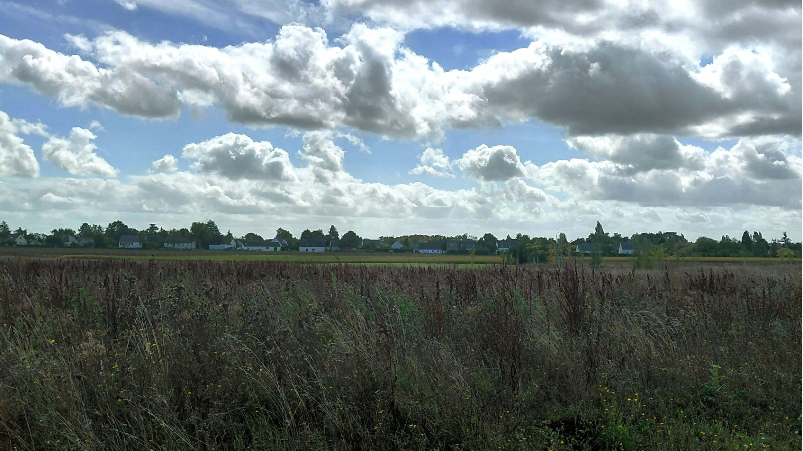 Terrain constructible de 360m2 à Beaumont-Louestault