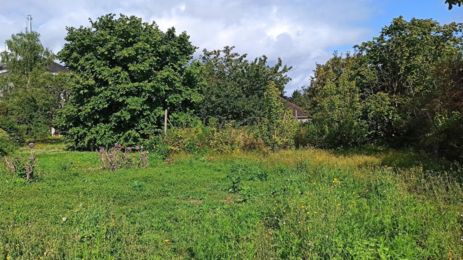 Terrain constructible de 1100m2 à Saint-Aignan