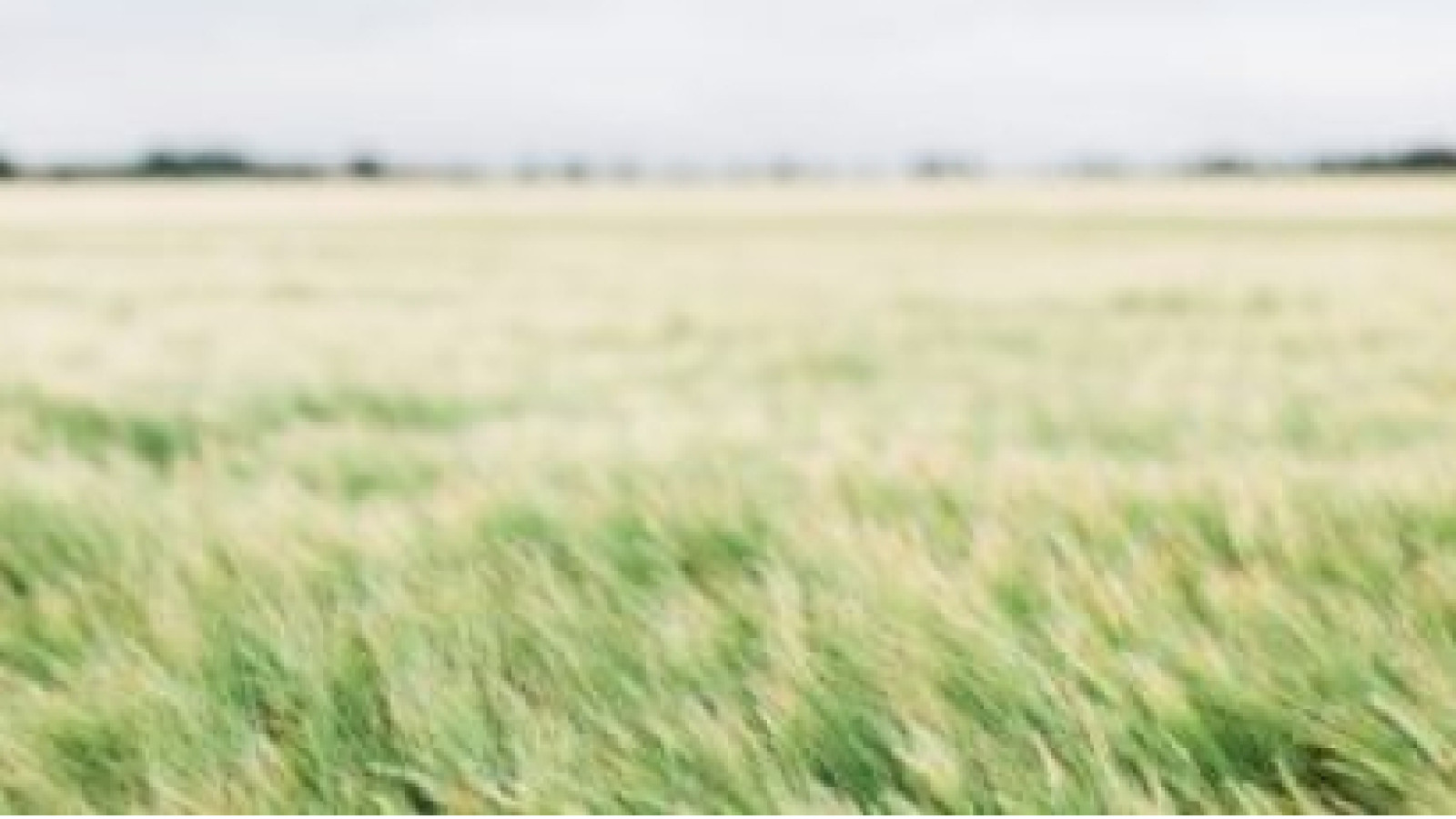 Terrain constructible de 570m2 à Montlouis-sur-Loire