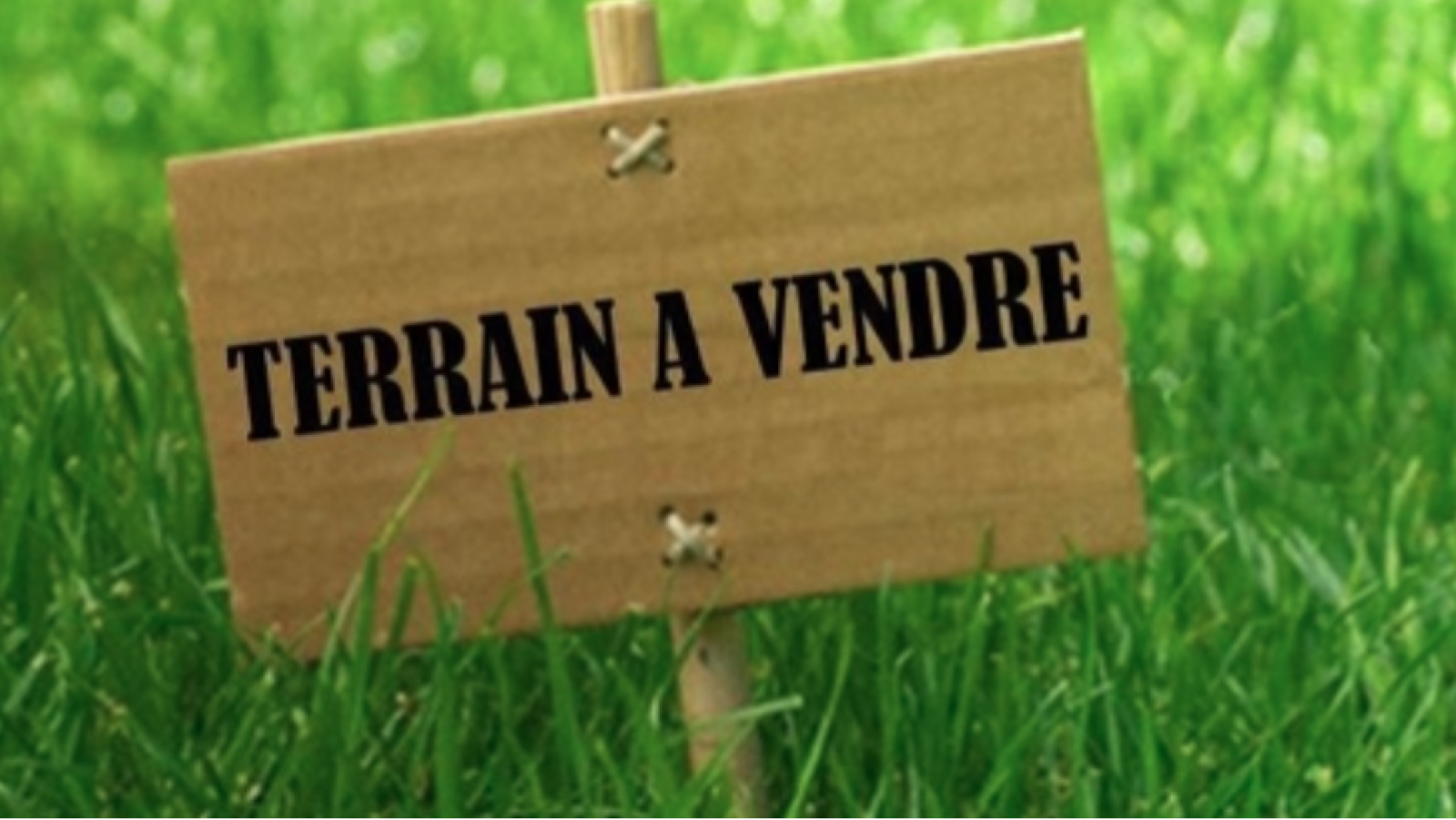 Terrain constructible de 815m2 à Bellevigne-les-Châteaux