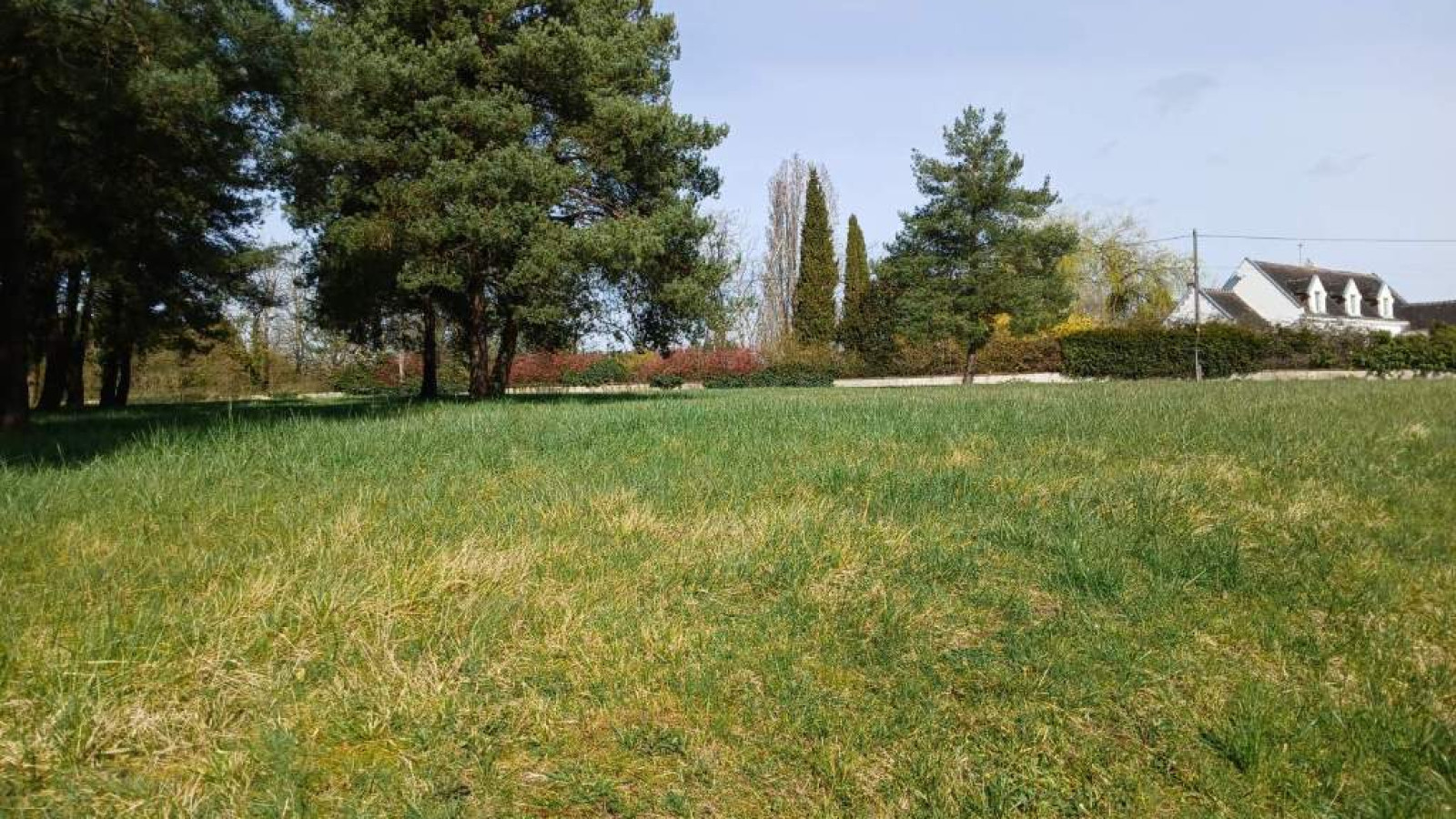 Terrain constructible de 2500m2 à Loches