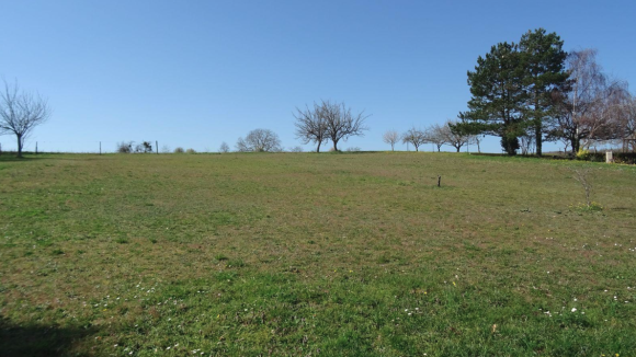 photo valdivienne.png