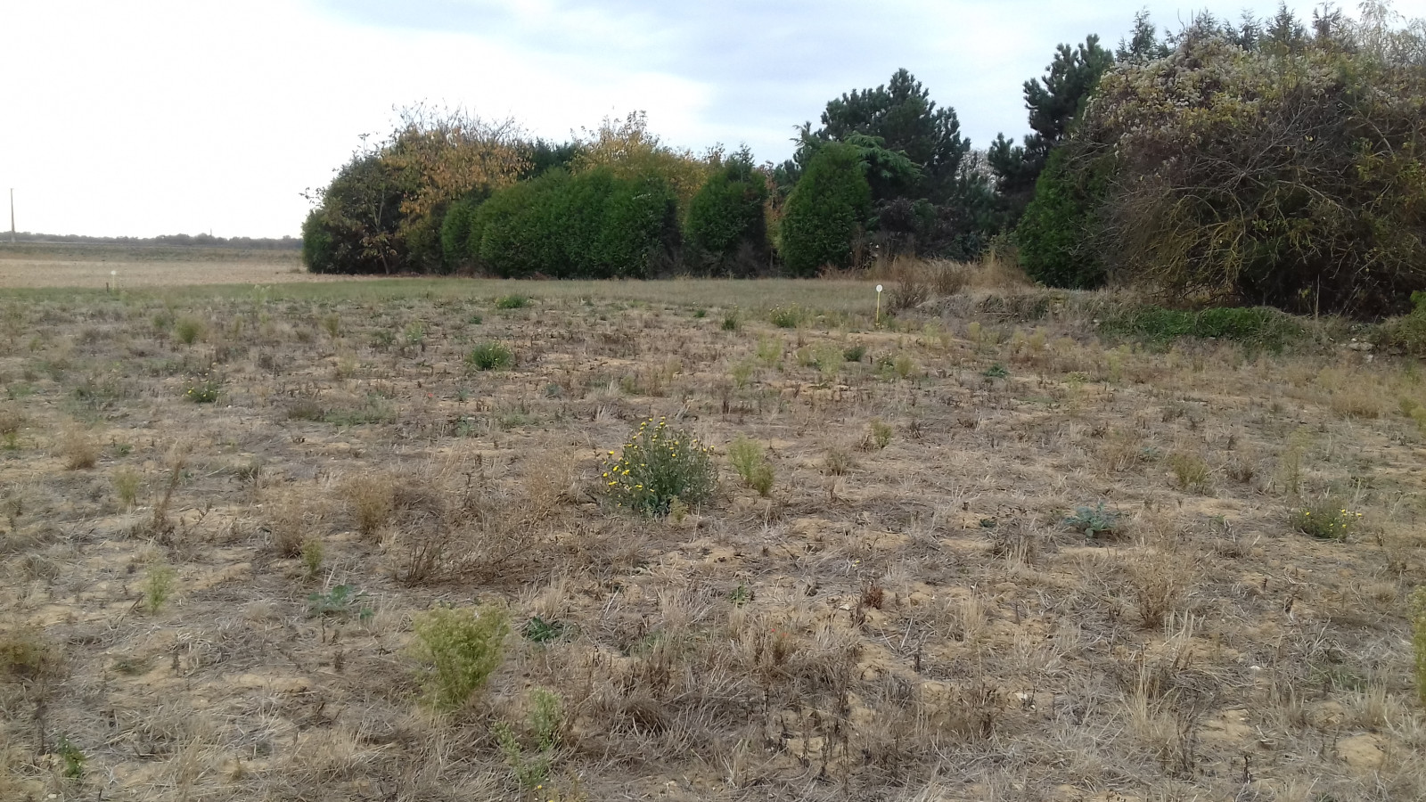 Terrain constructible de 1101m2 à Nanteau-sur-Lunain