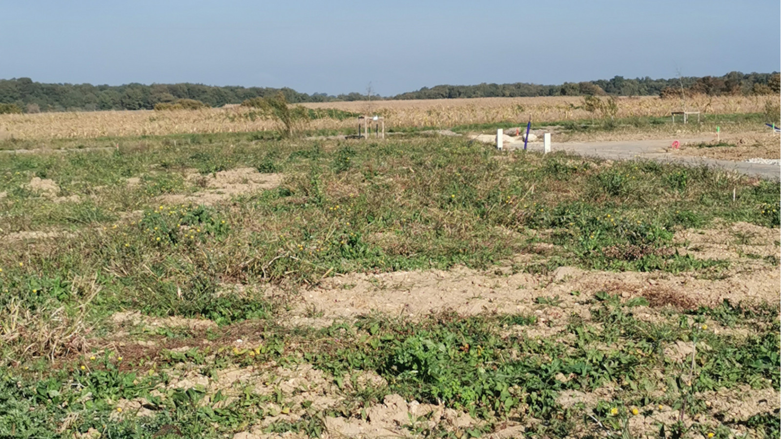 Terrain constructible de 364m2 à Luynes