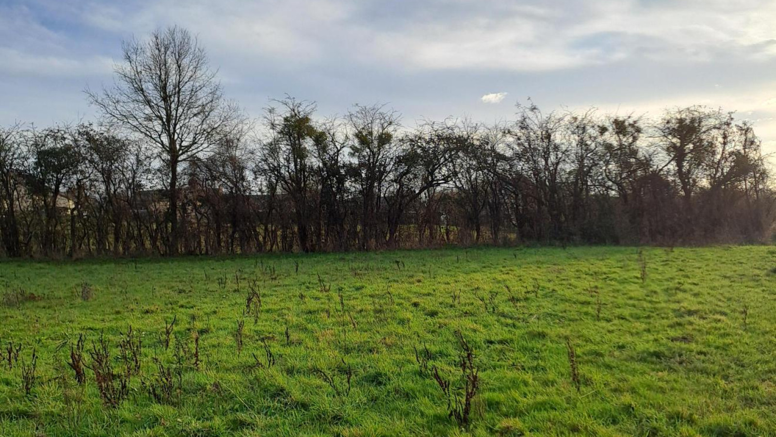 Terrain constructible de 466m2 à Le Lion-d'Angers