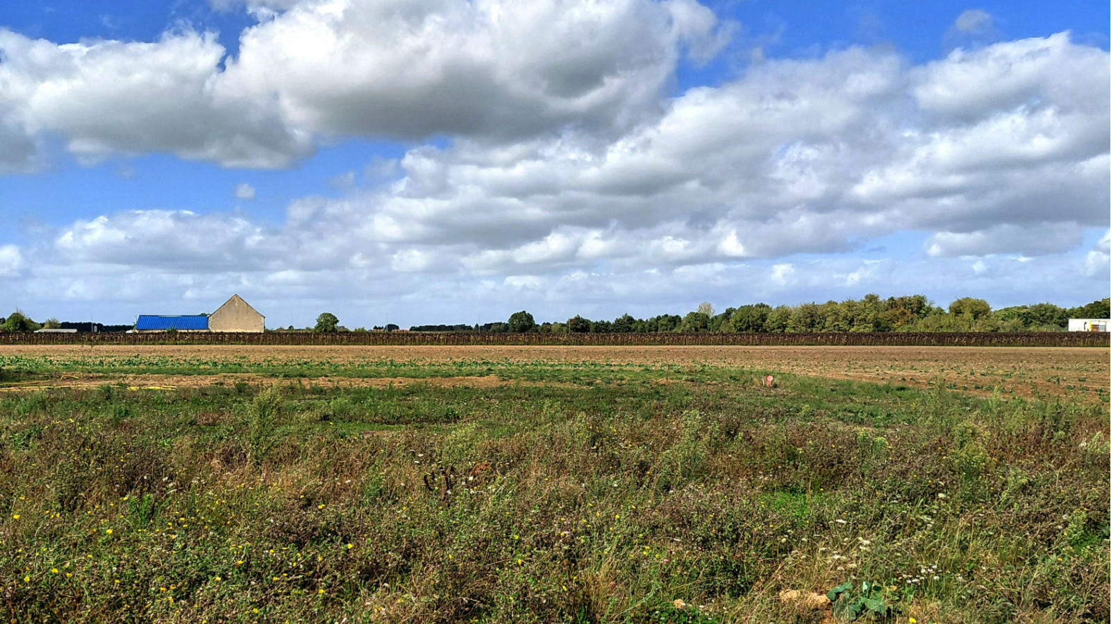 Terrain constructible de 411m2 à Truyes