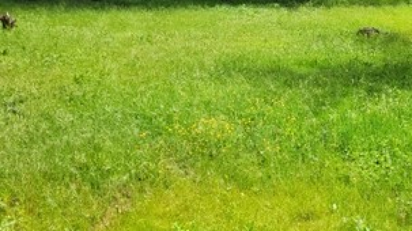 Terrain constructible de 1839m2 à Saint-Cyr-sur-Loire