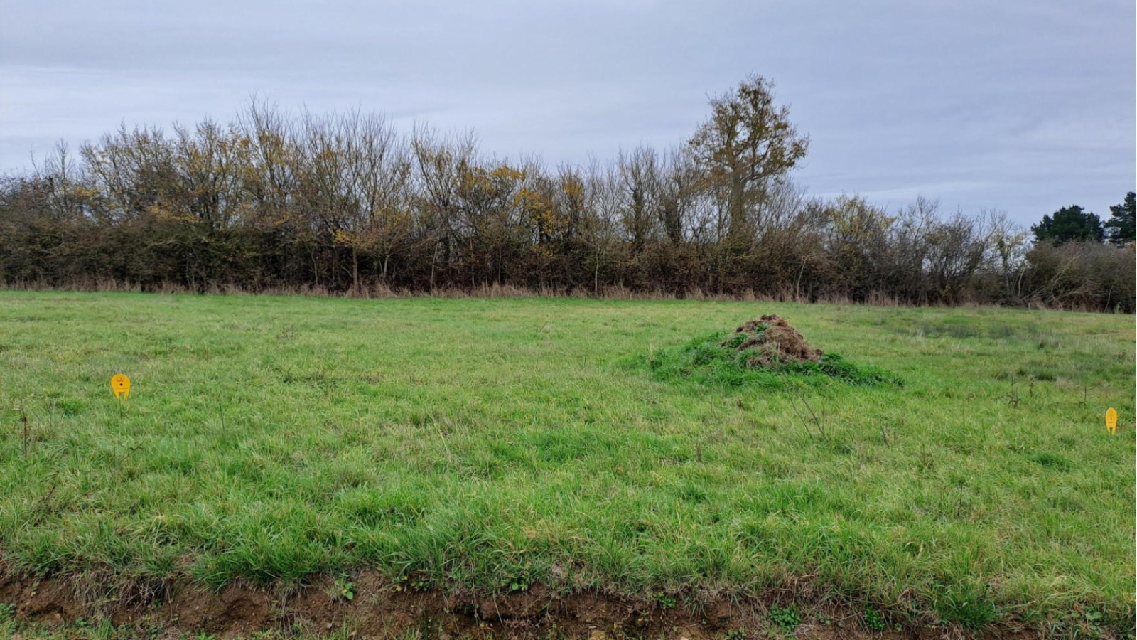 Terrain constructible de 488m2 à Ingrandes-le-Fresne-sur-Loire