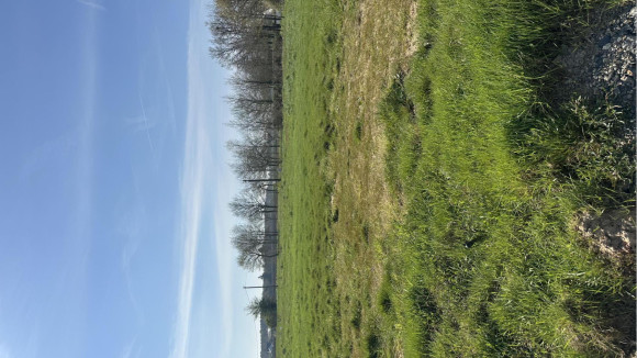 Lot 36 melaine sur aubance.jpg