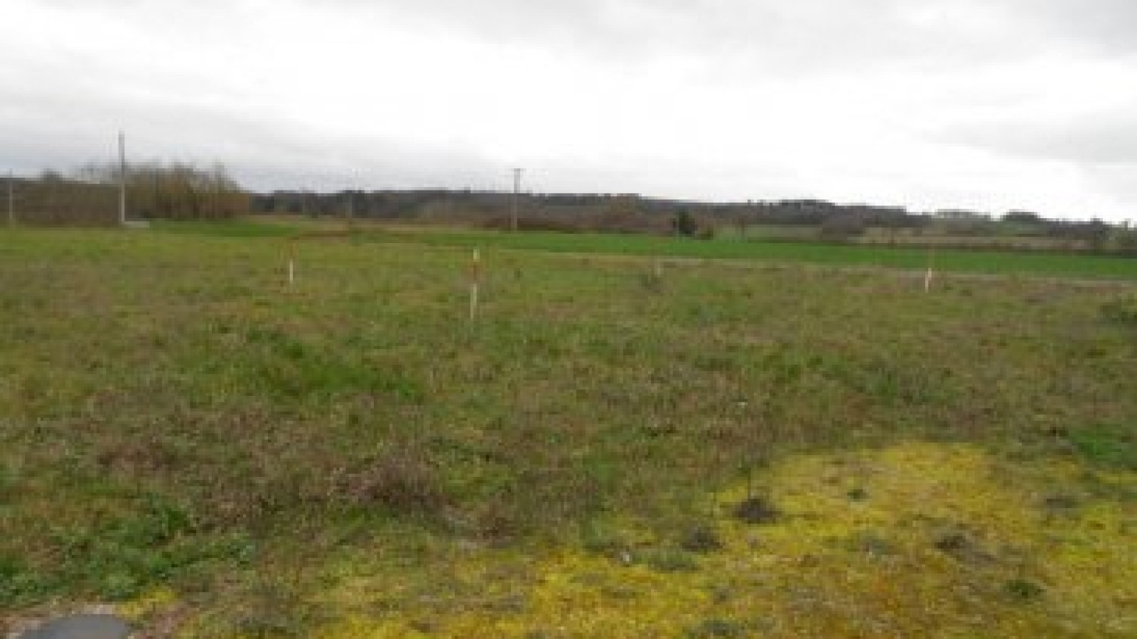 Terrain constructible de 1850m2 à Bonnes