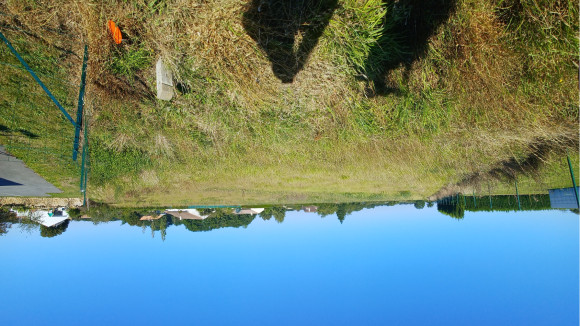 20210922_120832 (1).jpg