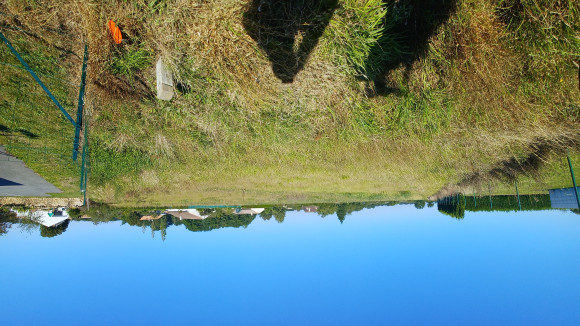 20210922_120832 (1).jpg