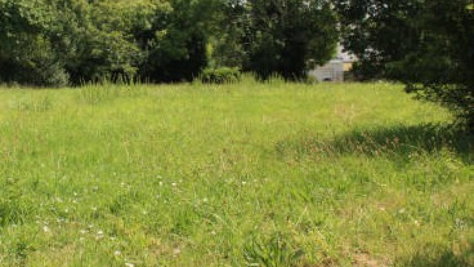 Terrain constructible de 1429m2 à Saint-Avertin