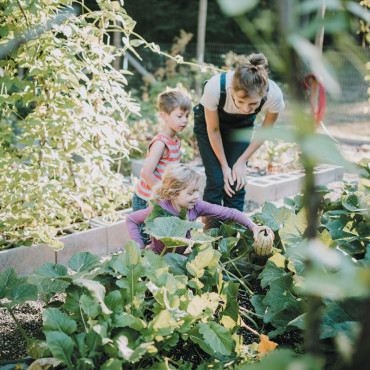 maison durable (1).jpg