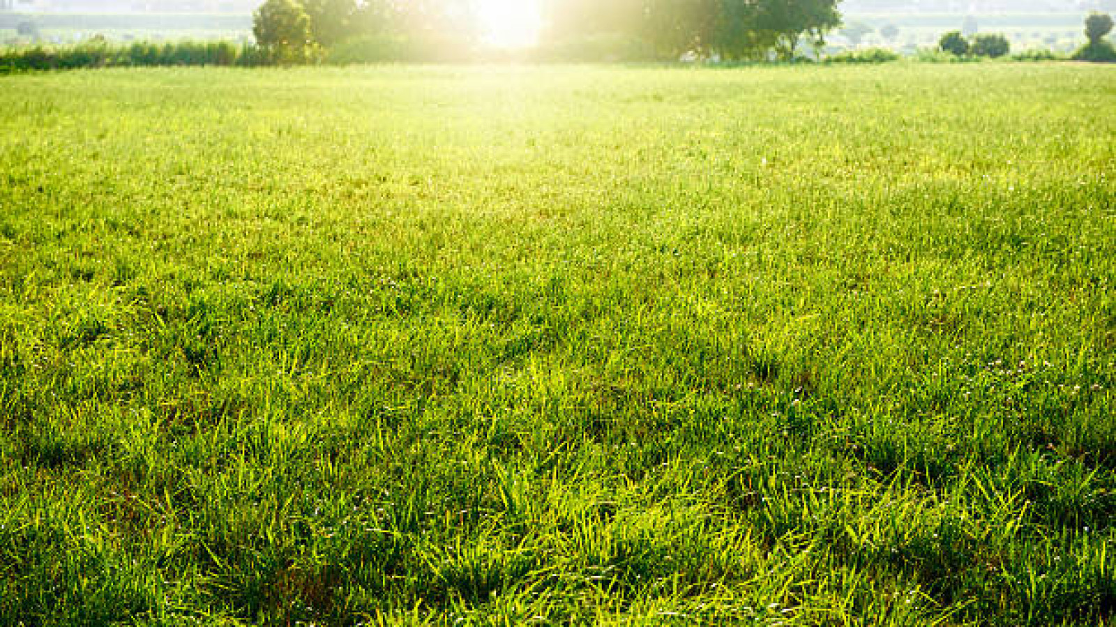 Terrain constructible de 577m2 à Vernou-sur-Brenne