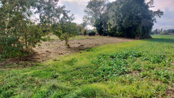 Athée sur cher - Copie.jpg