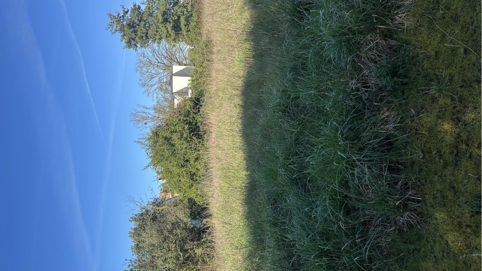 Terrain constructible de 551m2 à Saint-Barthélemy-d'Anjou