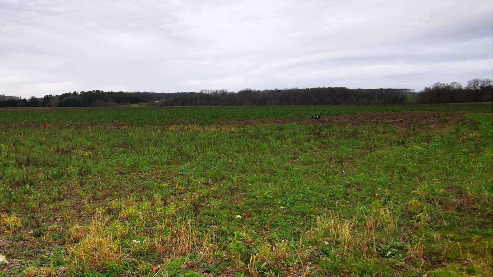 Terrain constructible de 700m2 à Saint-Jean-Saint-Germain