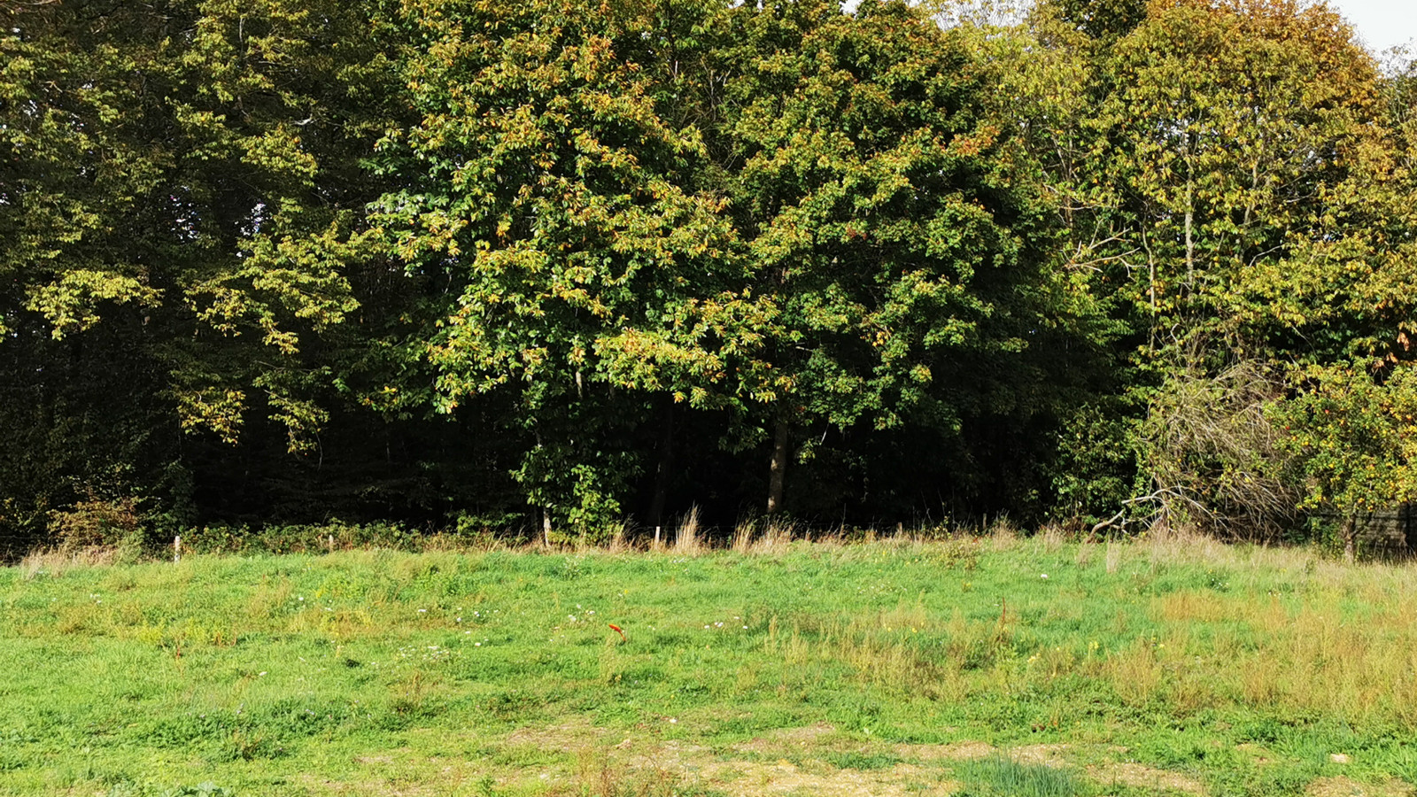 Terrain constructible de 858m2 à Chanceaux-près-Loches