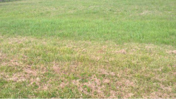 la tour saint gelin.jpg