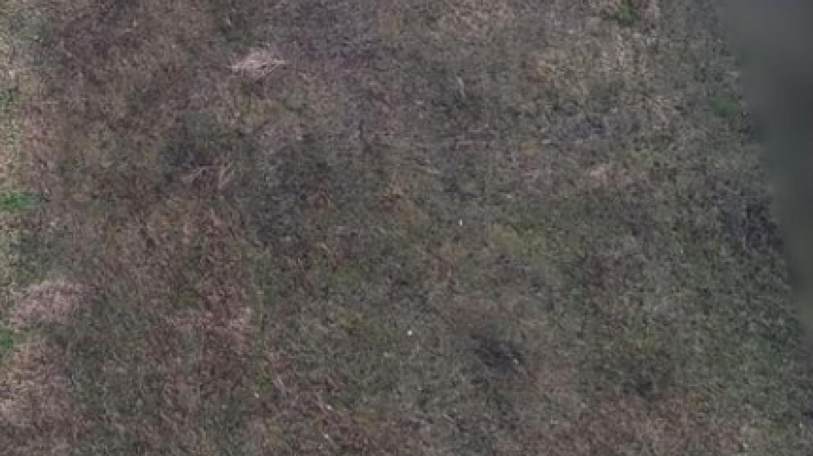 Terrain constructible de 619m2 à Ascoux