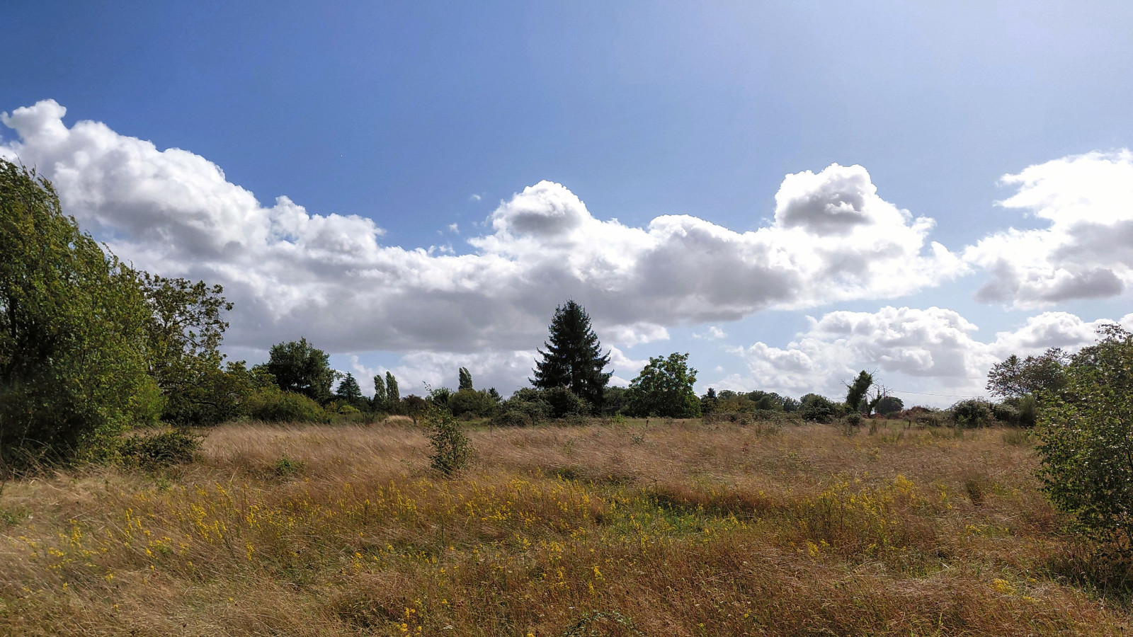 Terrain constructible de 611m2 à Beaumont-Louestault