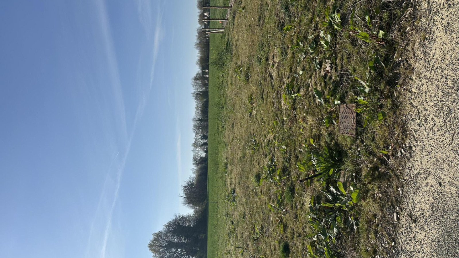 Terrain constructible de 335m2 à Segré-en-Anjou Bleu