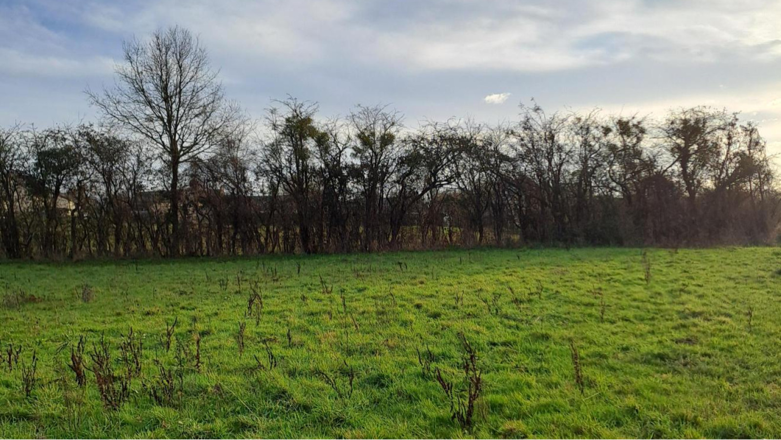 Terrain constructible de 355m2 à Val d'Erdre-Auxence