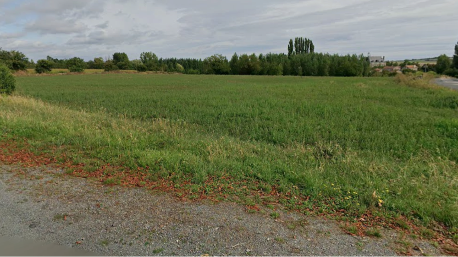 Terrain constructible de 2480m2 à Valence-en-Poitou