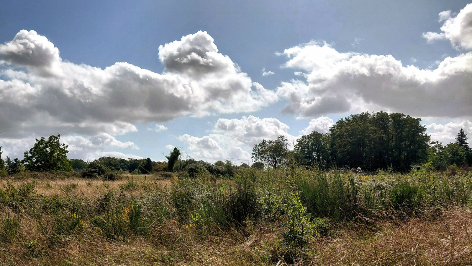 Terrain constructible de 402m2 à Druye