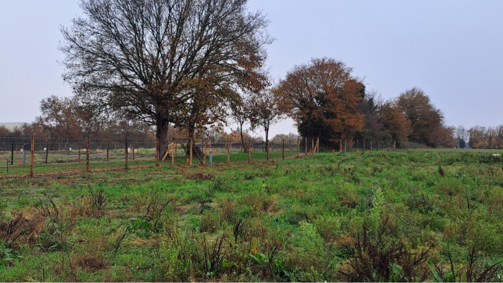 Terrain constructible de 312m2 à Segré-en-Anjou Bleu
