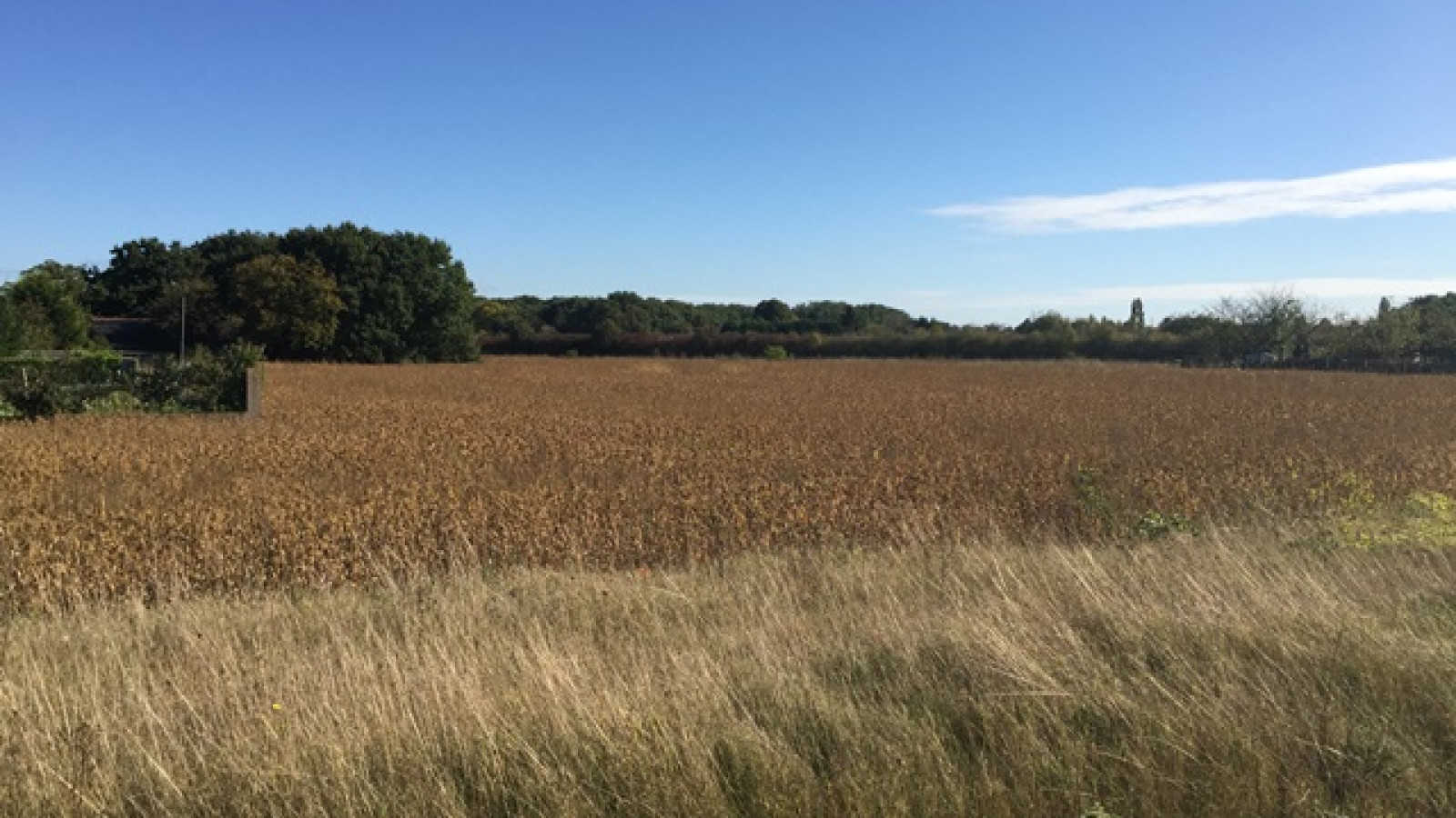 Terrain constructible de 410m2 à Sorigny