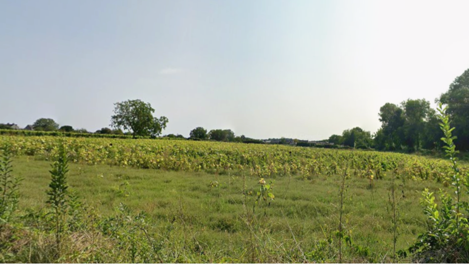 Terrain constructible de 571m2 à Bellevigne-les-Châteaux