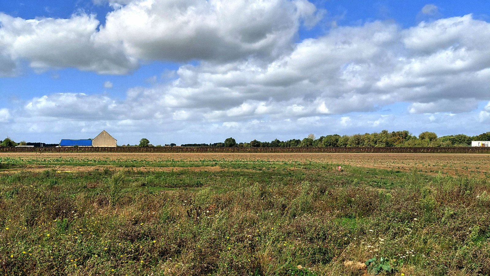 Terrain constructible de 501m2 à Cinq-Mars-la-Pile