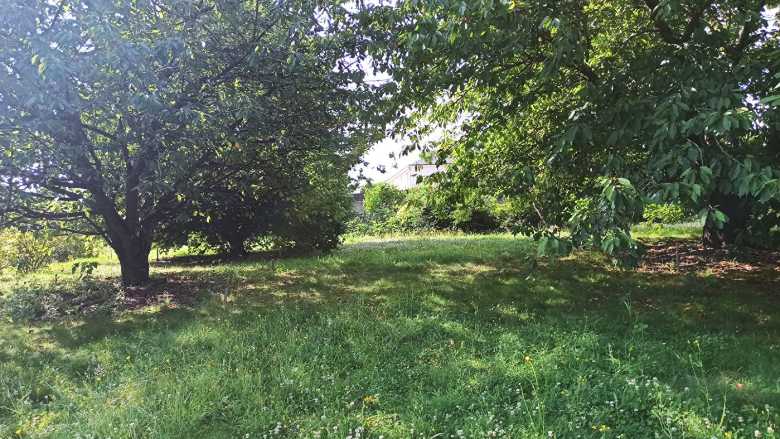 Terrain constructible de 570m2 à Chailles