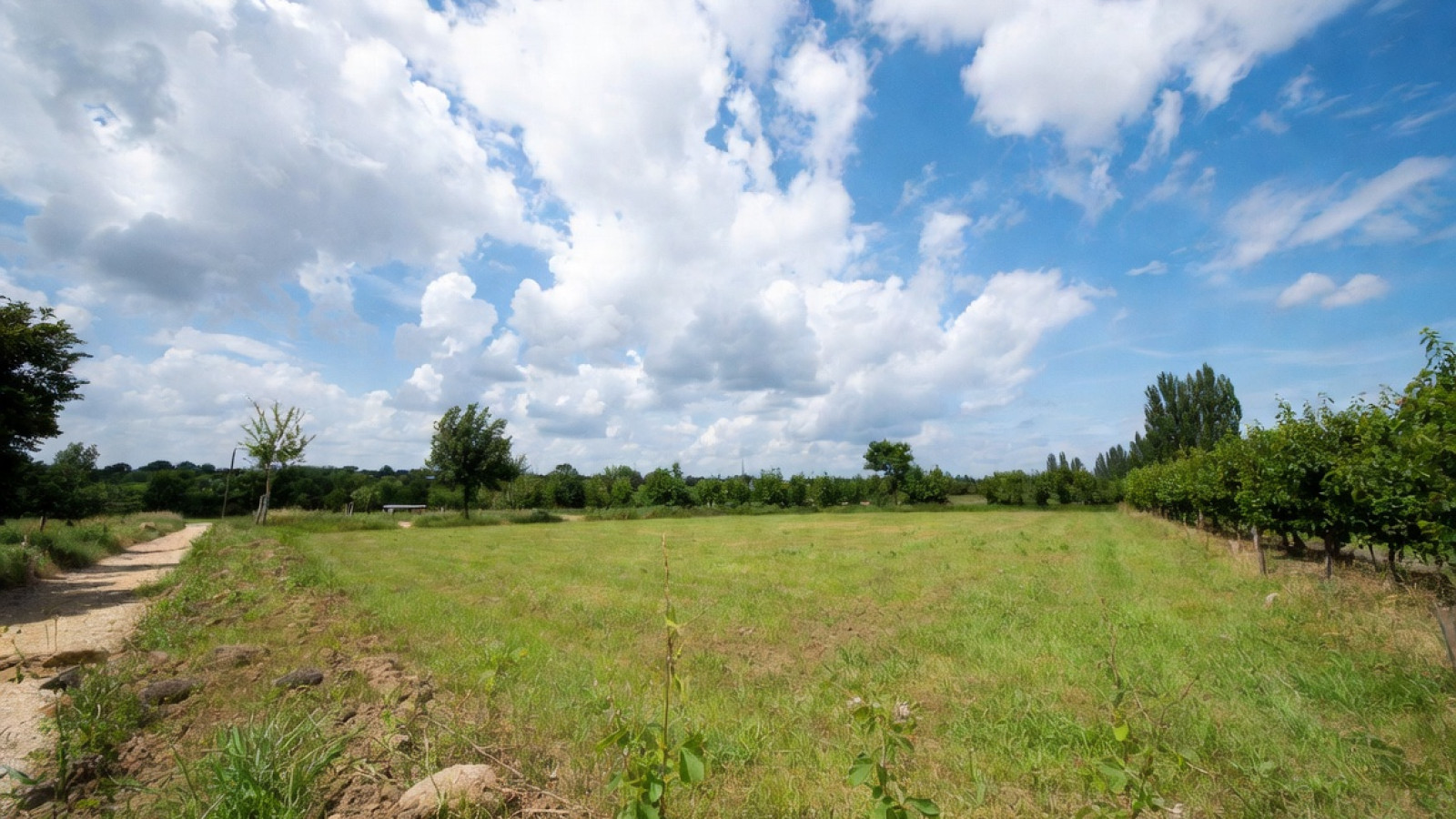 Terrain constructible de 803m2 à Saint-Denis-en-Val