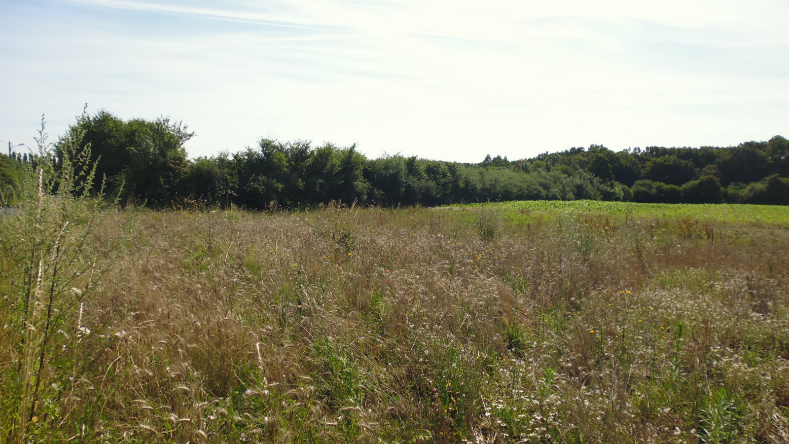 Terrain constructible de 1000m2 à Oussoy-en-Gâtinais