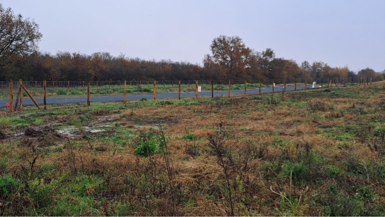 Terrain constructible de 333m2 à Segré-en-Anjou Bleu