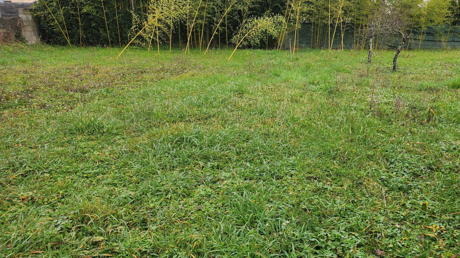 Terrain constructible de 650m2 à Saint-Cyr-sur-Loire