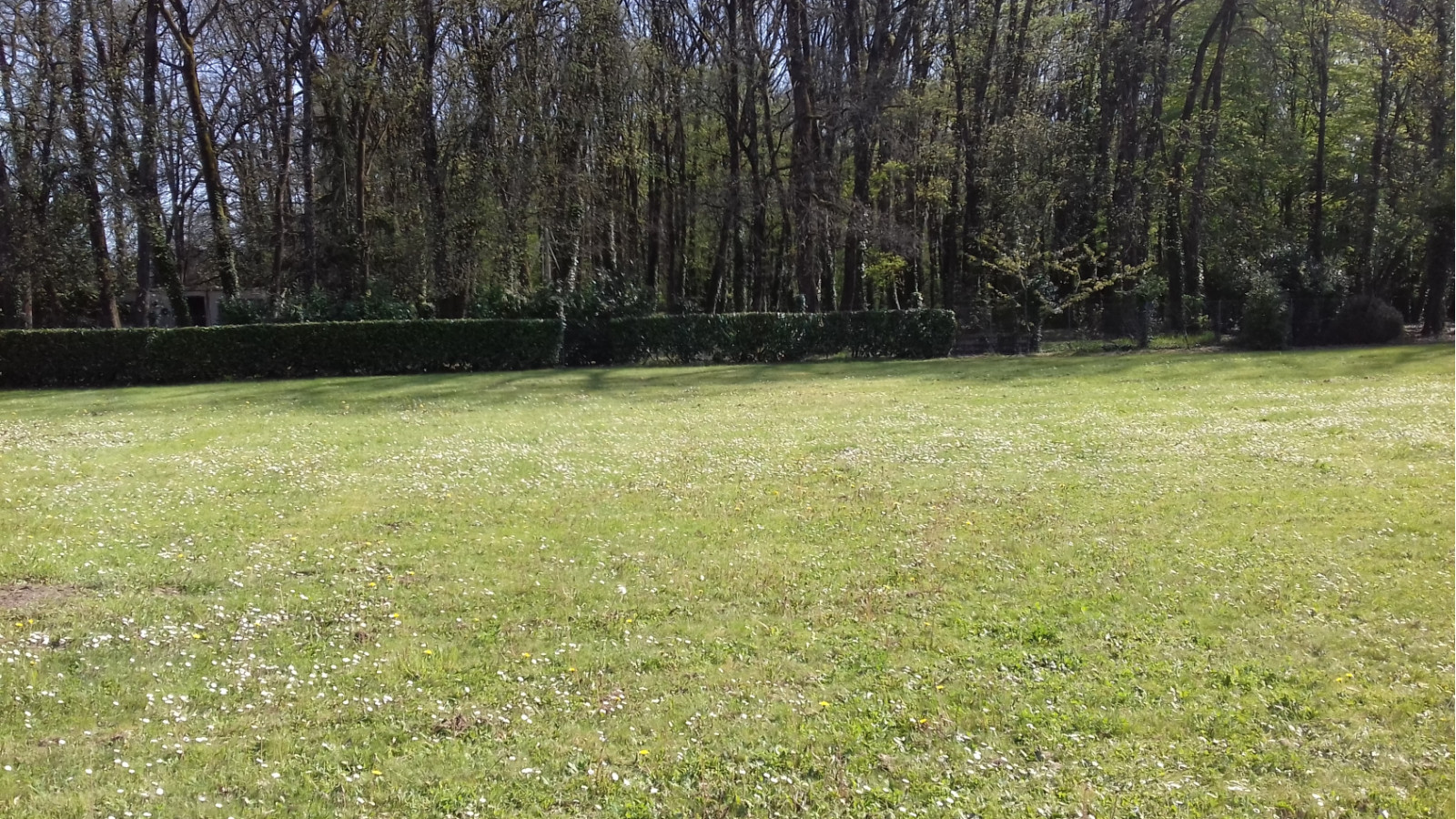 Terrain constructible de 1750m2 à Cenon-sur-Vienne
