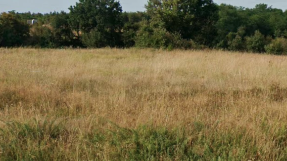 image terrain (1).png