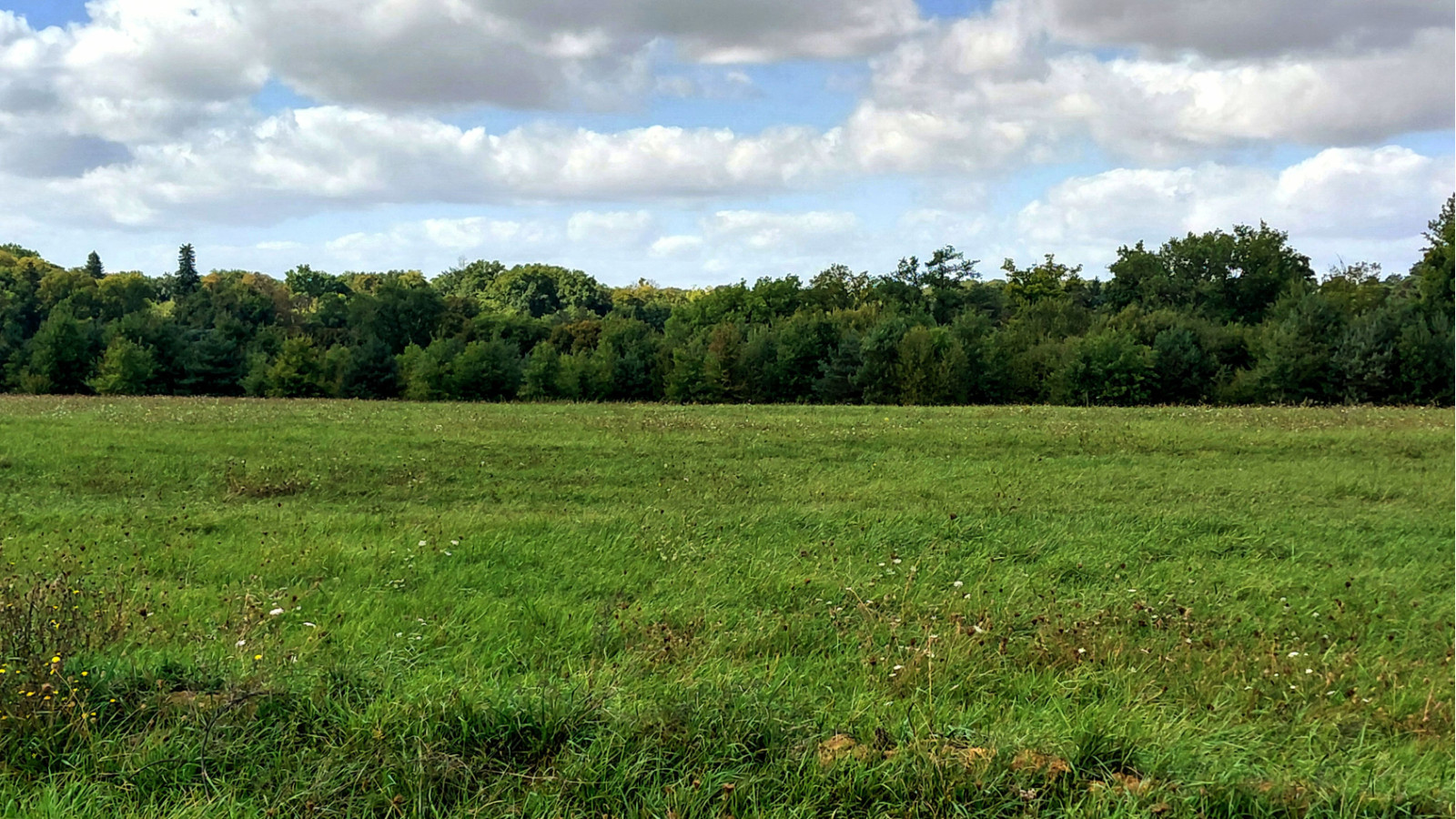 Terrain constructible de 360m2 à Lignières-de-Touraine