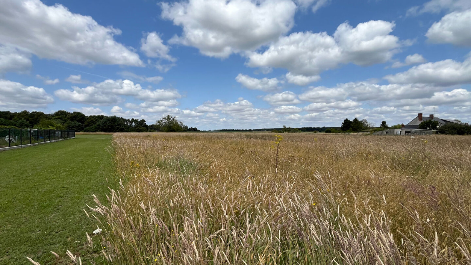 Terrain constructible de 1400m2 à La Chapelle-Saint-Martin-en-Plaine