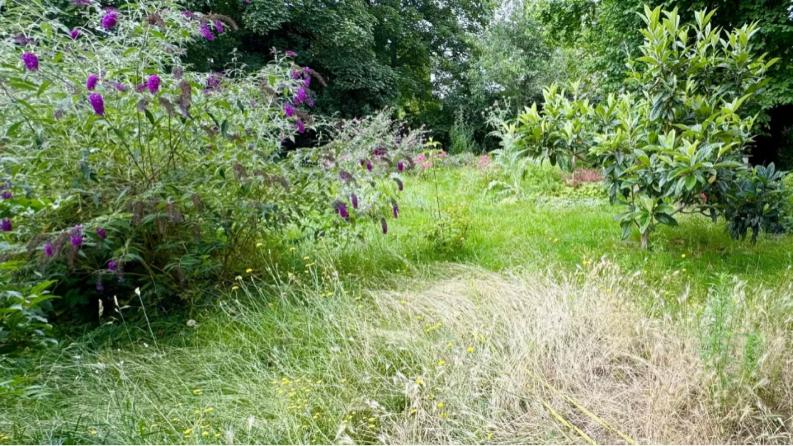 Terrain constructible de 800m2 à Chanteau