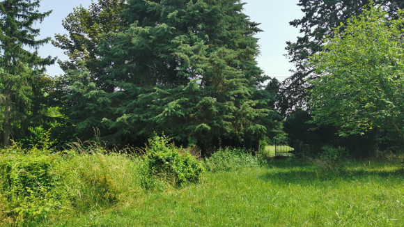 terrain savo 5.jpg