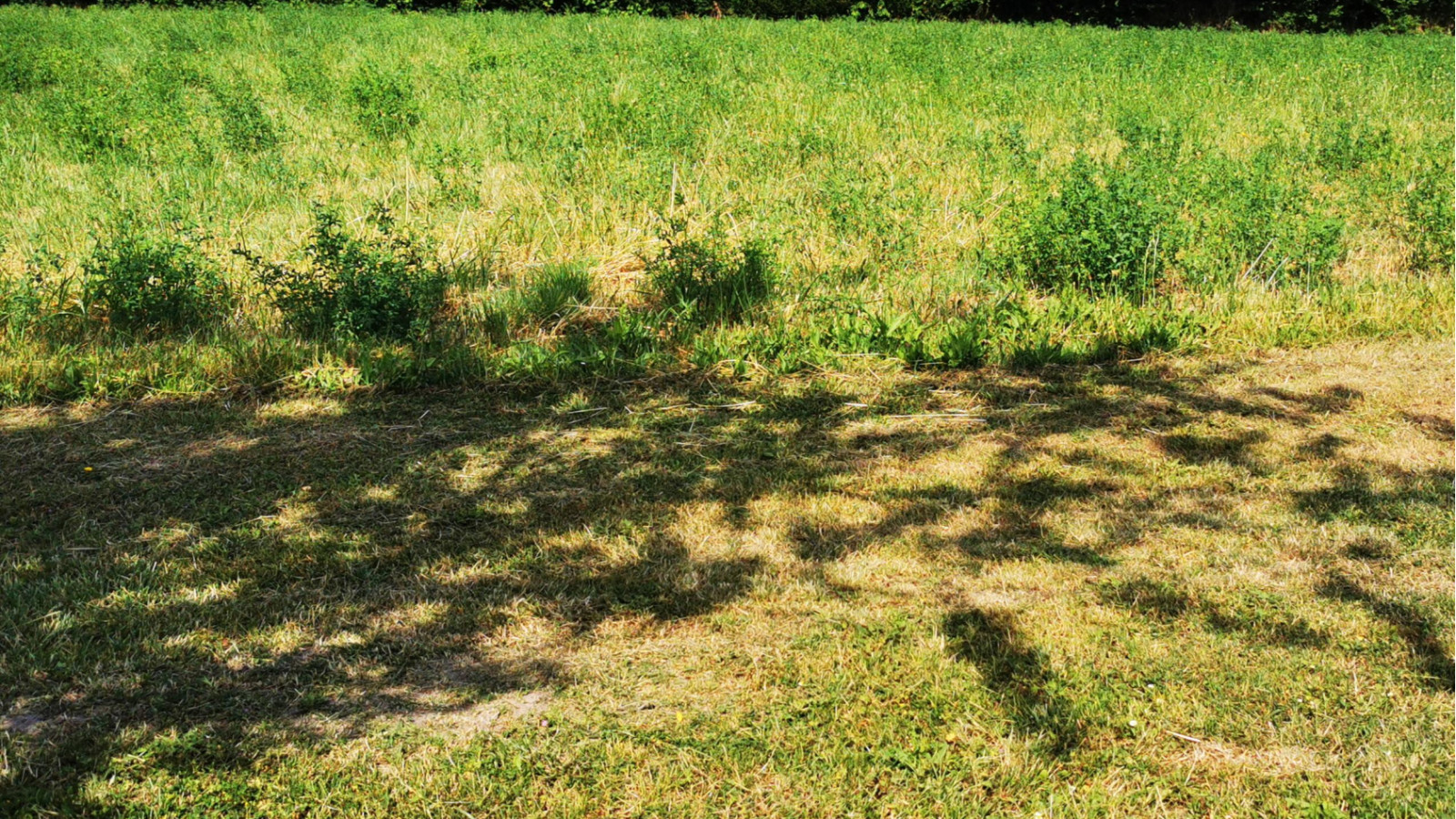 Terrain constructible de 433m2 à Ferrière-sur-Beaulieu