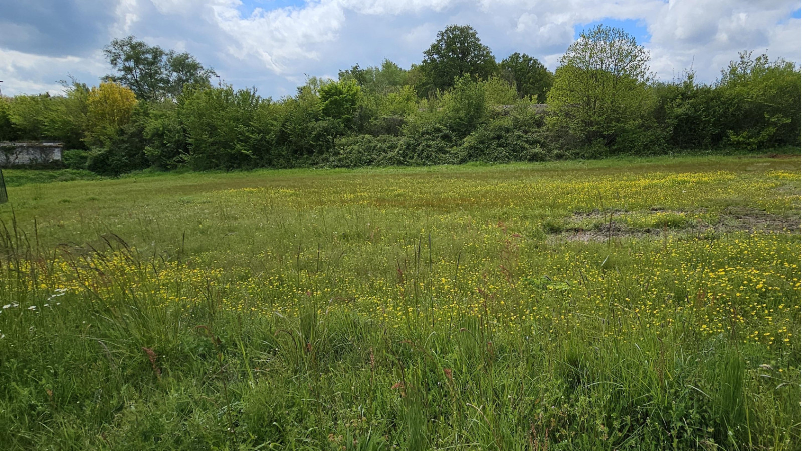 Terrain constructible de 2505m2 à Loches