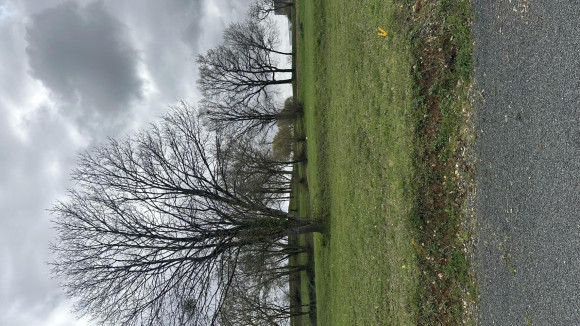 Lot 17 le verdelet Lezigné.jpg