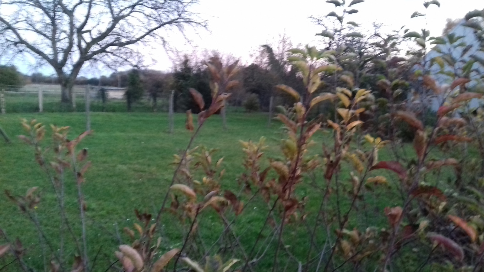 Terrain constructible de 1100m2 à Guigneville
